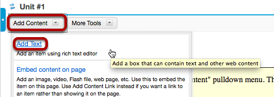 Click Add Content, then Add Text.