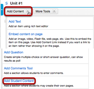 Click Add Content, then Add Student Content.