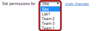 Use drop-down menu for separate permissions based on groups.