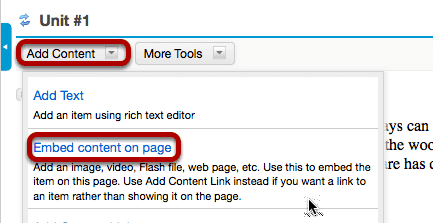 Click on Add Content, then Embed Content on a Page.