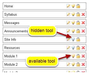 Hide Tools from students