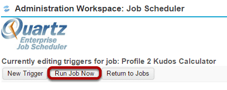 Click Run Job Now to run the job manually.